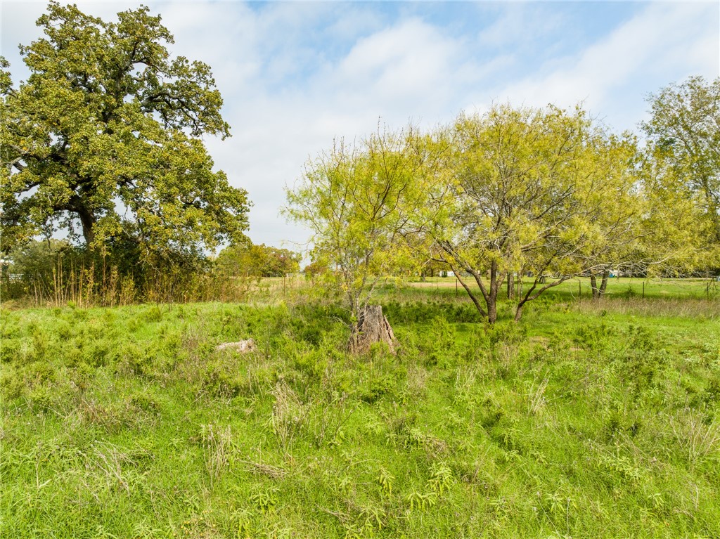 1187 Ross Road, Elm Mott, Texas image 36