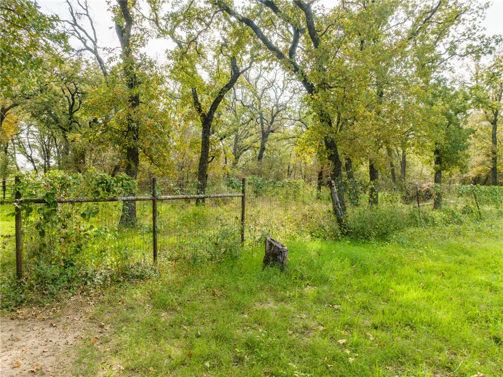 1187 Ross Road, Elm Mott, Texas image 44