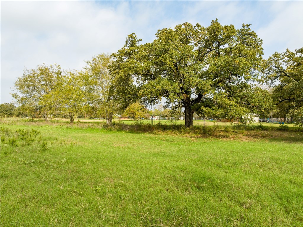 1187 Ross Road, Elm Mott, Texas image 41
