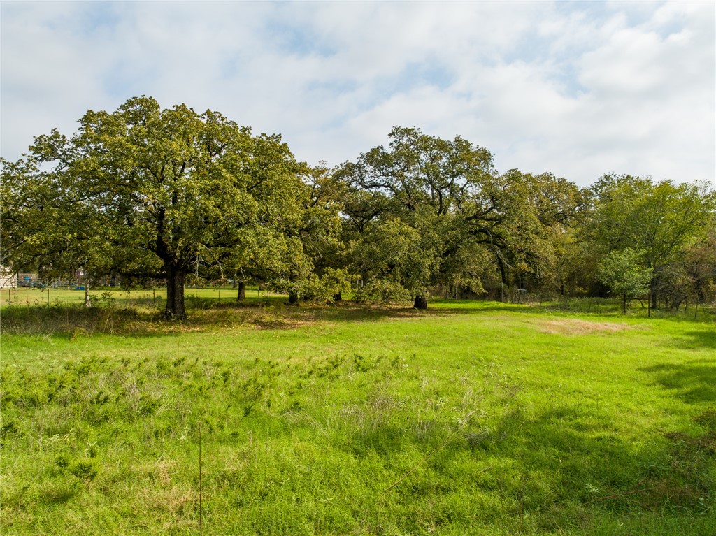 1187 Ross Road, Elm Mott, Texas image 38