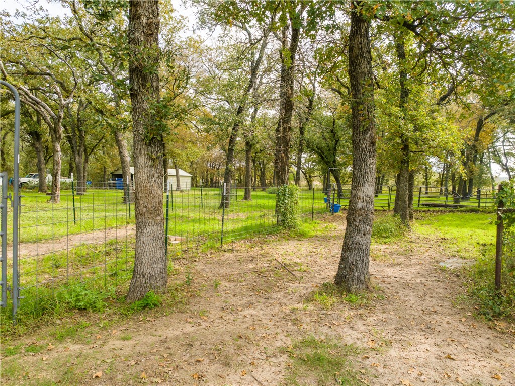 1187 Ross Road, Elm Mott, Texas image 43