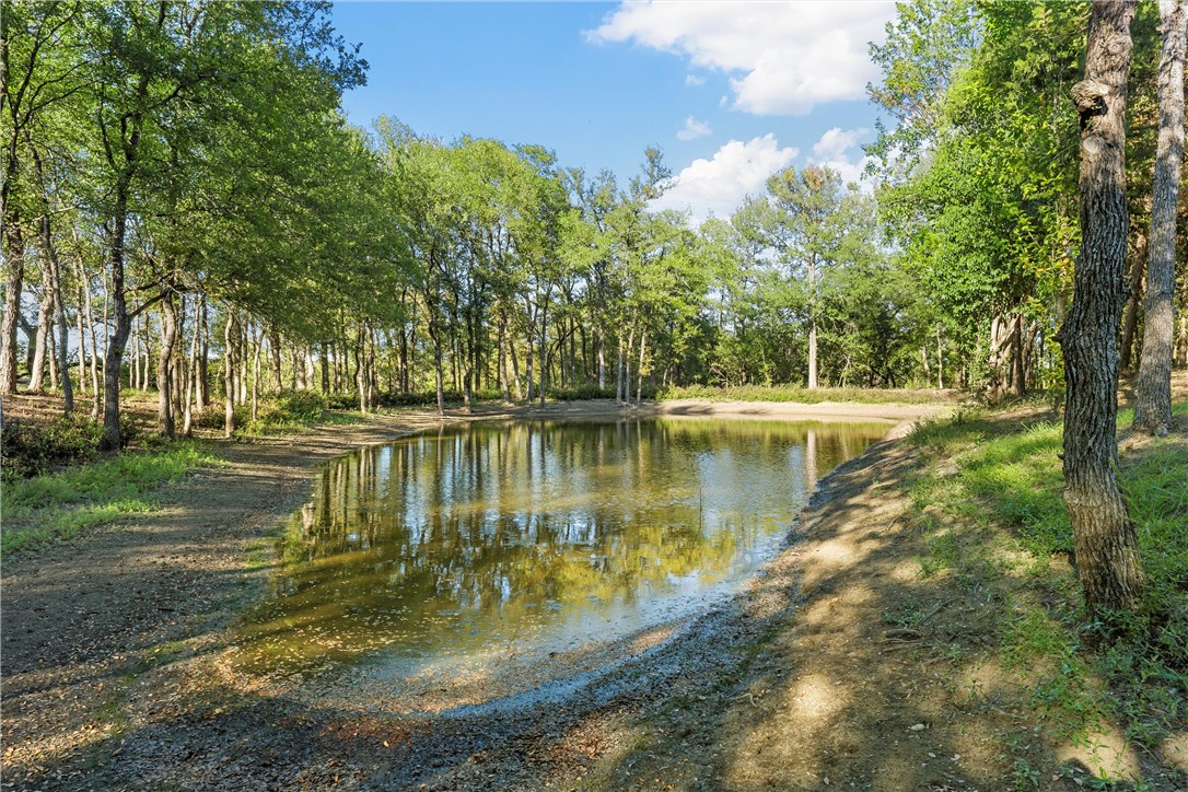 1025 Franklin Avenue #1025C, Waco, Texas image 35