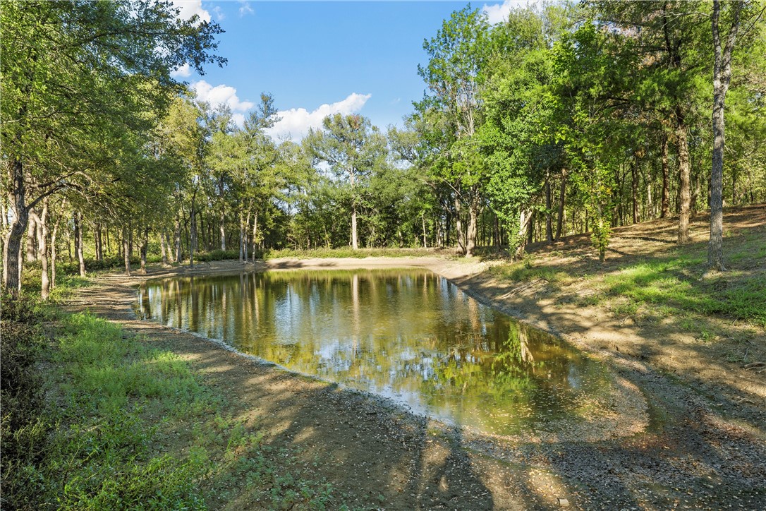 1025 Franklin Avenue #1025C, Waco, Texas image 47