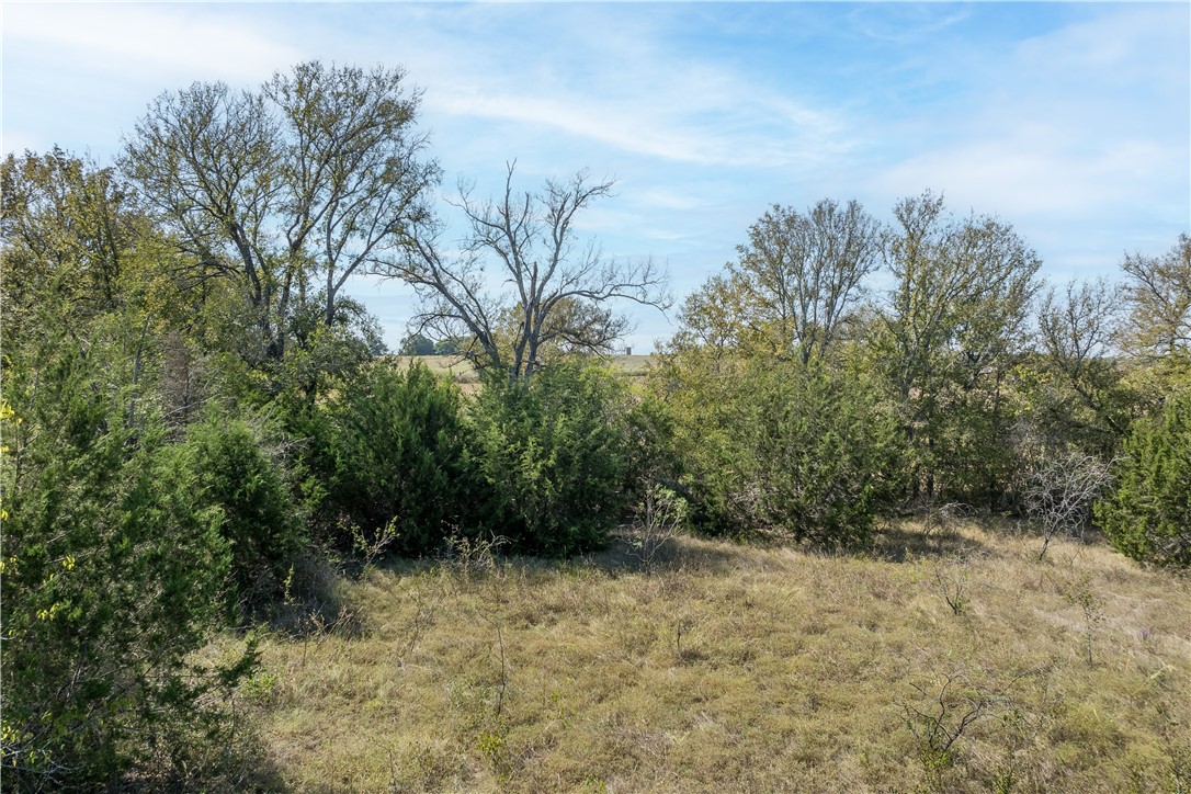 3200 S Robinson Drive, Lorena, Texas image 4