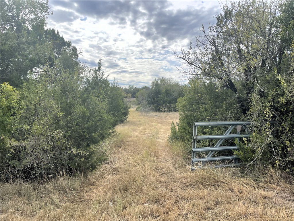 TBD Fm 439 Road, Nolanville, Texas image 8