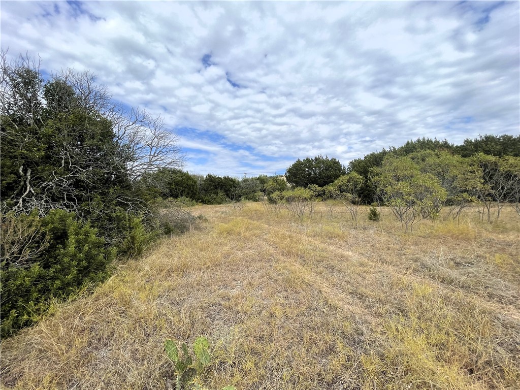 TBD Fm 439 Road, Nolanville, Texas image 6