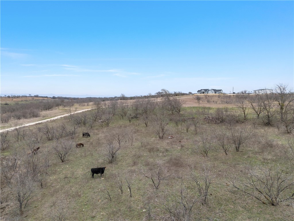 TBD Alexander Road, Moody, Texas image 8