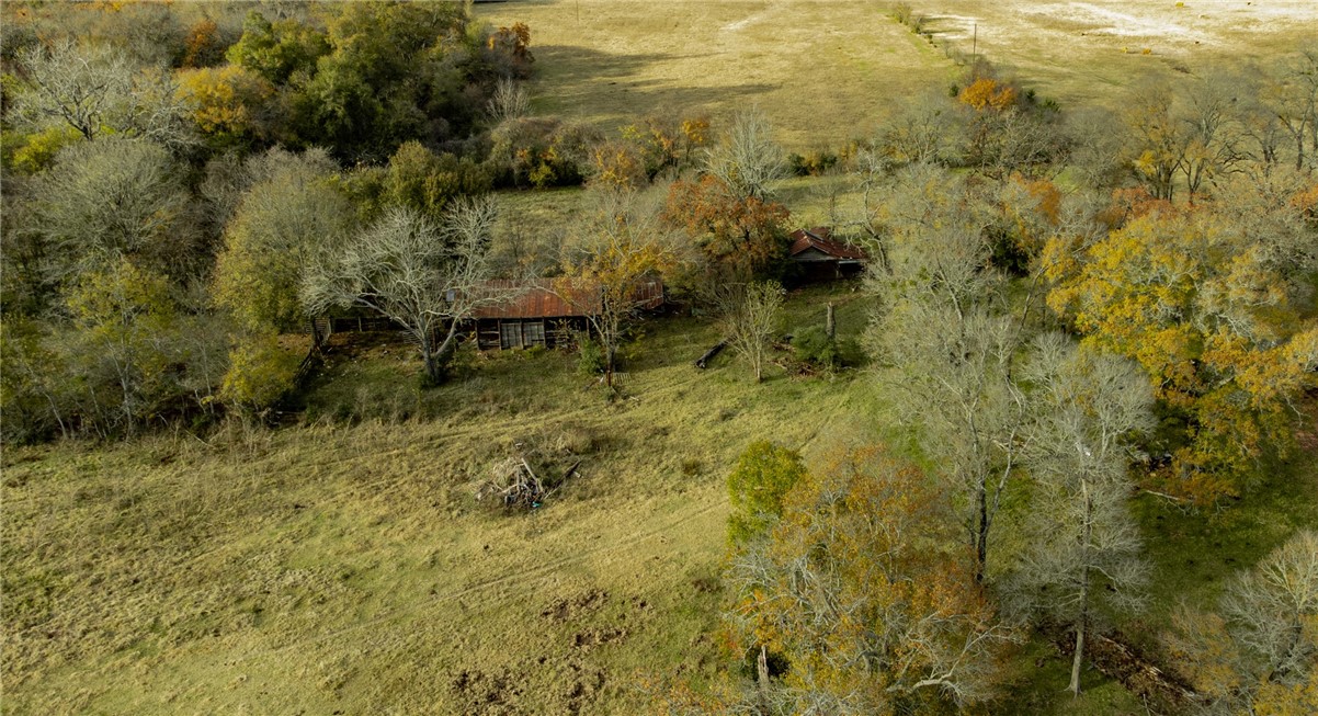 TBD Fm 2749, Thornton, Texas image 3