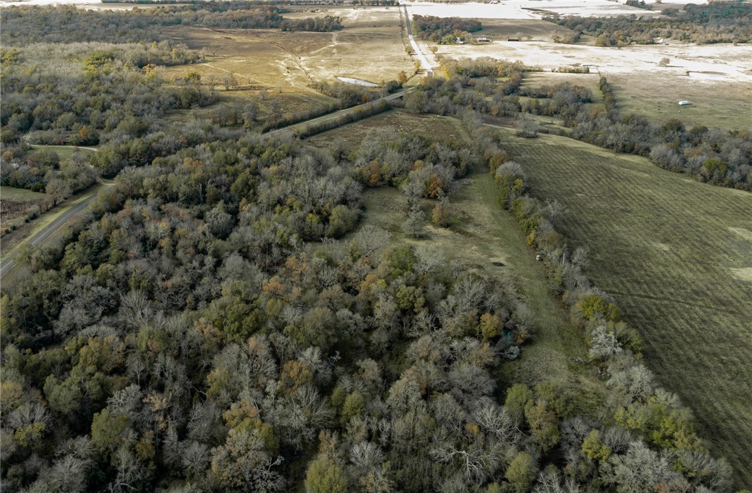 TBD Fm 2749, Thornton, Texas image 13