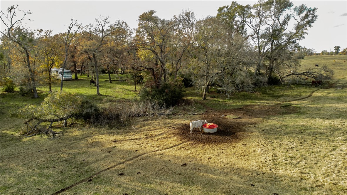 TBD Fm 2749, Thornton, Texas image 5