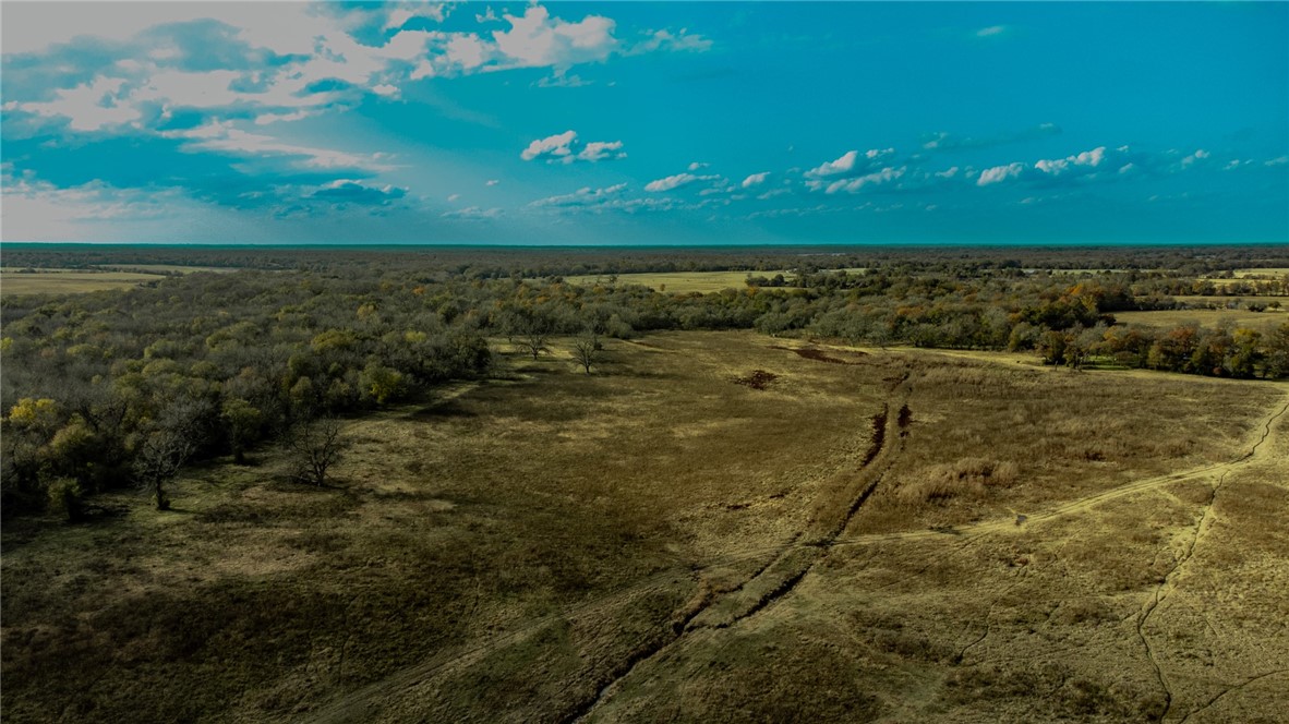 TBD Fm 2749, Thornton, Texas image 21