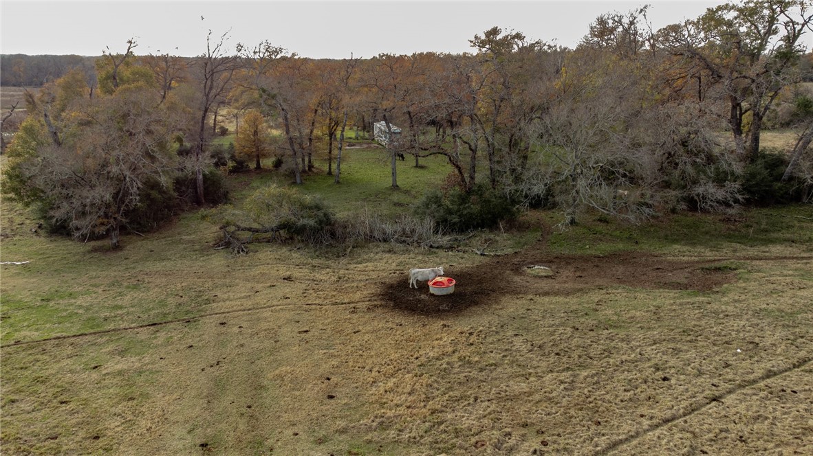 TBD Fm 2749, Thornton, Texas image 17