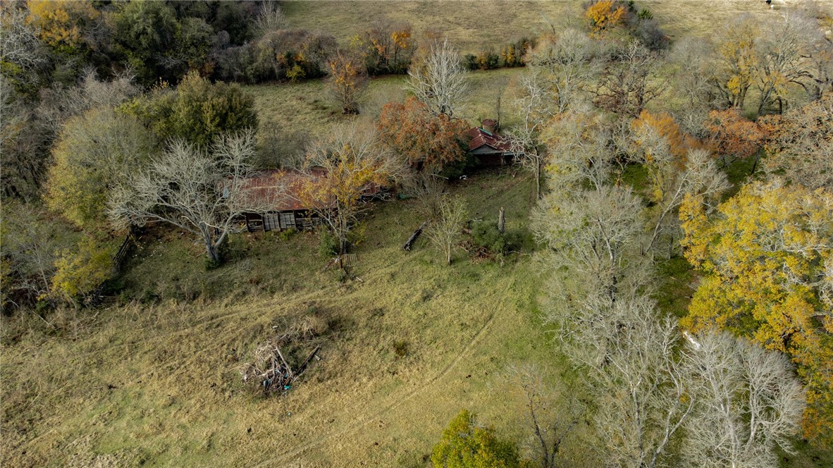 TBD Fm 2749, Thornton, Texas image 8