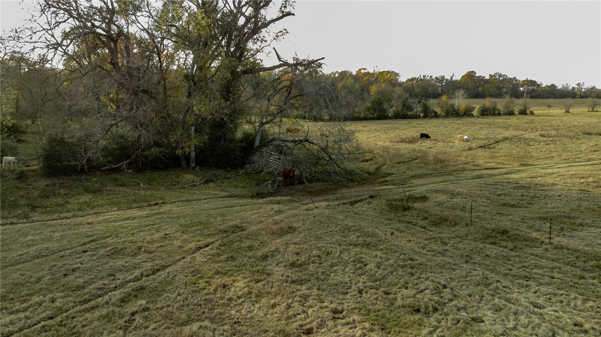 TBD Fm 2749, Thornton, Texas image 6