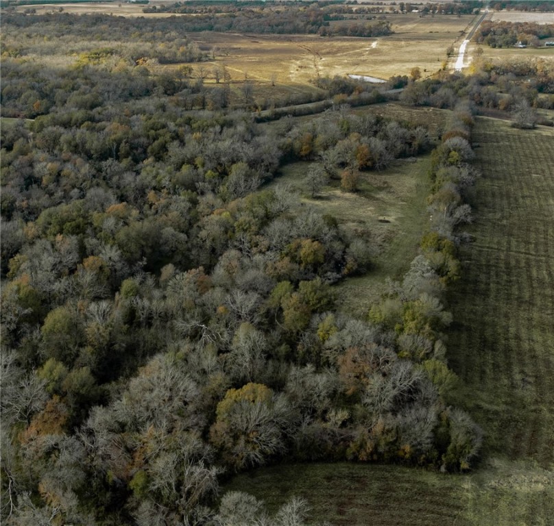 TBD Fm 2749, Thornton, Texas image 14