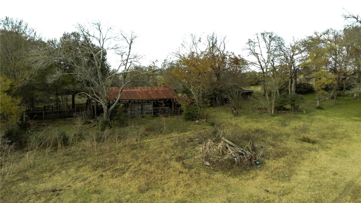 TBD Fm 2749, Thornton, Texas image 2