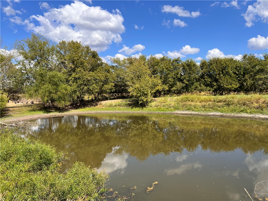 514 N Vicha Road, Axtell, Texas image 3