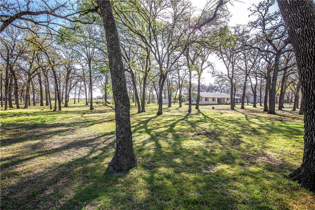 182 Briar Lane, Chilton, Texas image 31