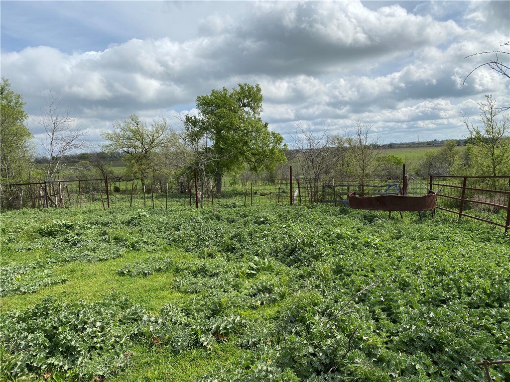 1391 Cr 112 Road, Buckholts, Texas image 11