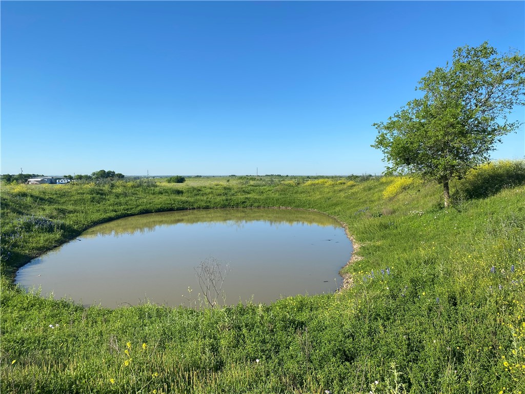 1391 Cr 112 Road, Buckholts, Texas image 40