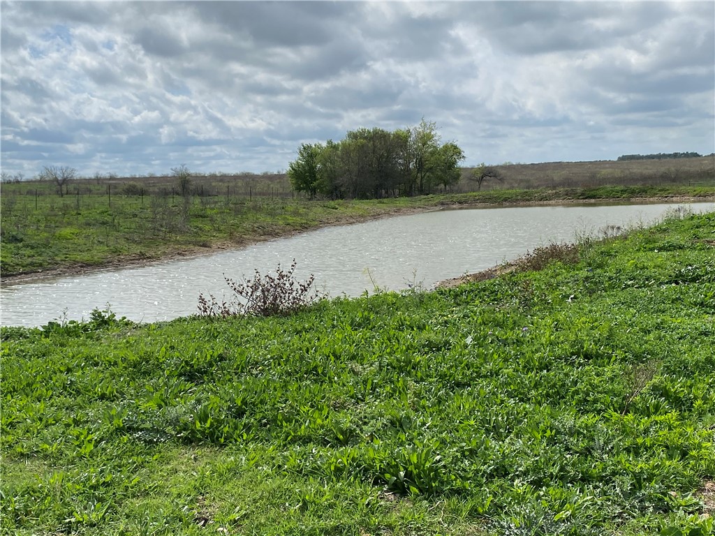 1391 Cr 112 Road, Buckholts, Texas image 3