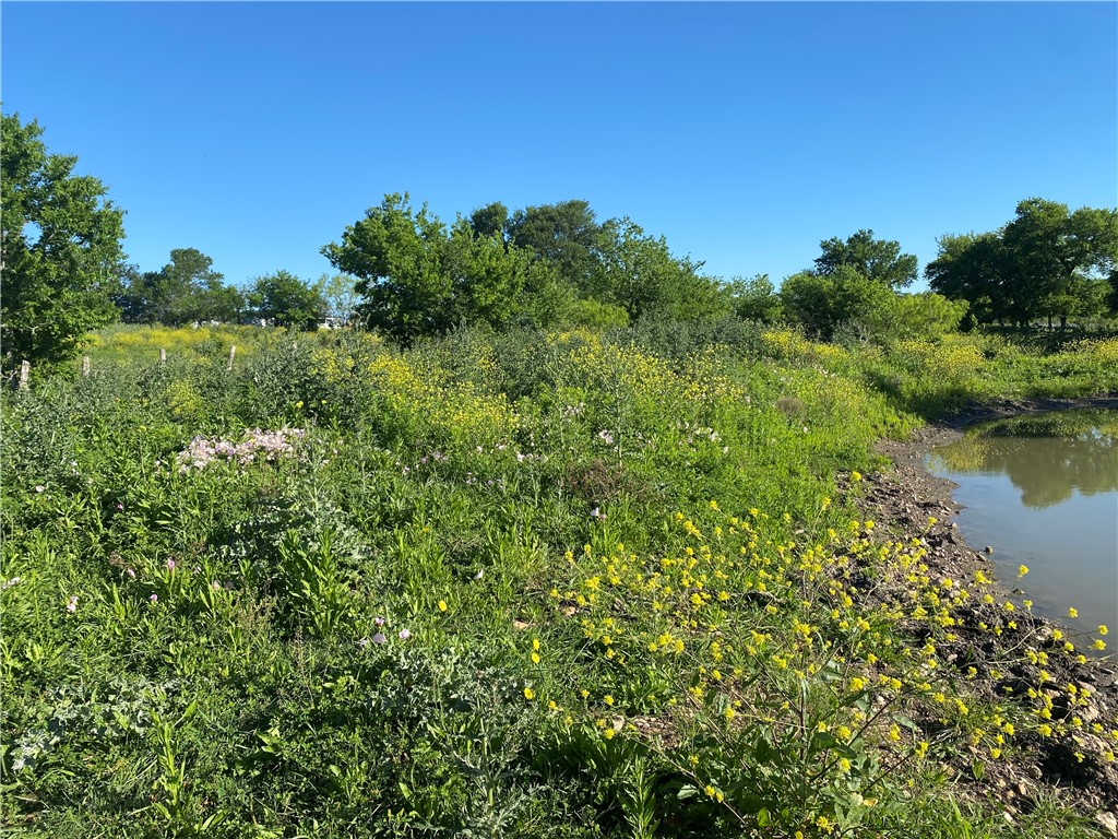 1391 Cr 112 Road, Buckholts, Texas image 42