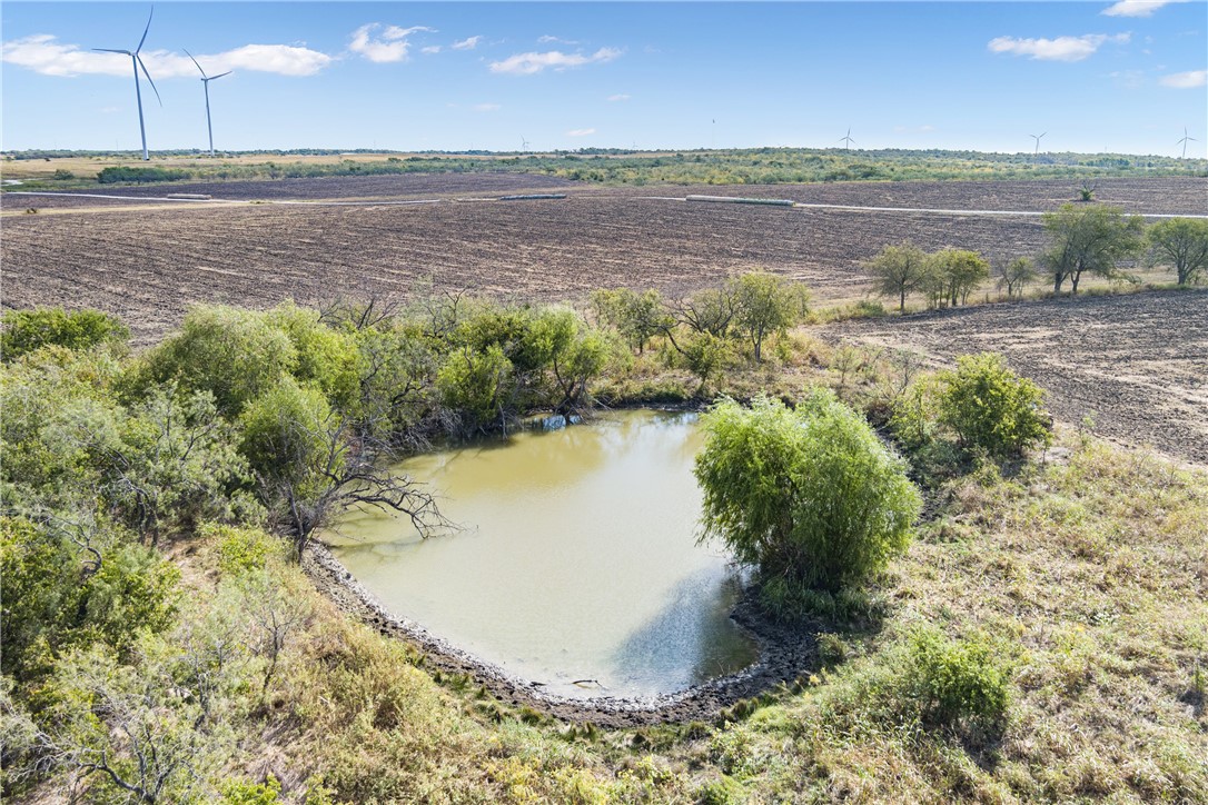 TBD Hcr 3254, Mount Calm, Texas image 11