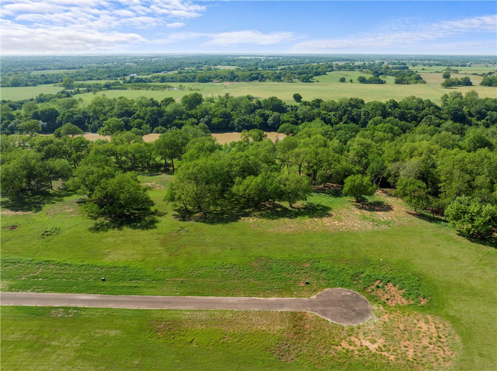 Lot 13 Riverside Drive, Aquilla, Texas image 4