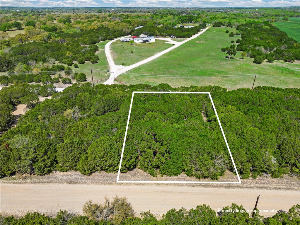 12055 Westmeadow Drive, Whitney, Texas image 1