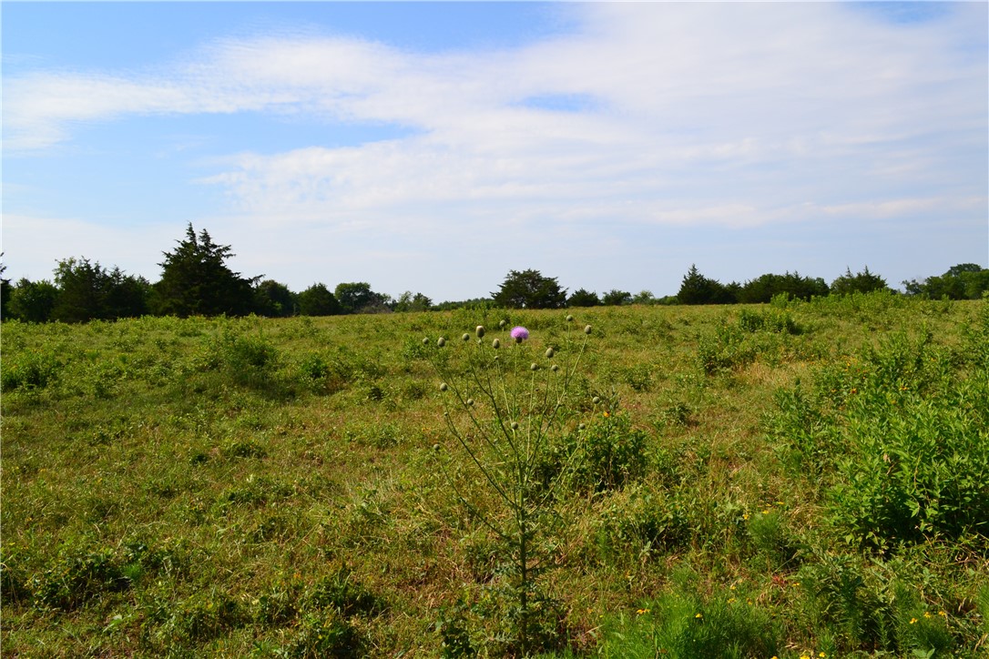 TRACT 2 TBD Cr 2244, Quinlan, Texas image 5