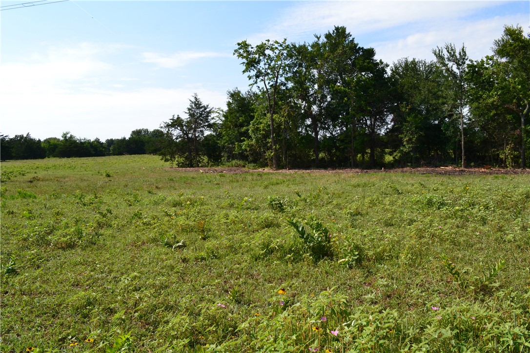 TRACT 2 TBD Cr 2244, Quinlan, Texas image 3