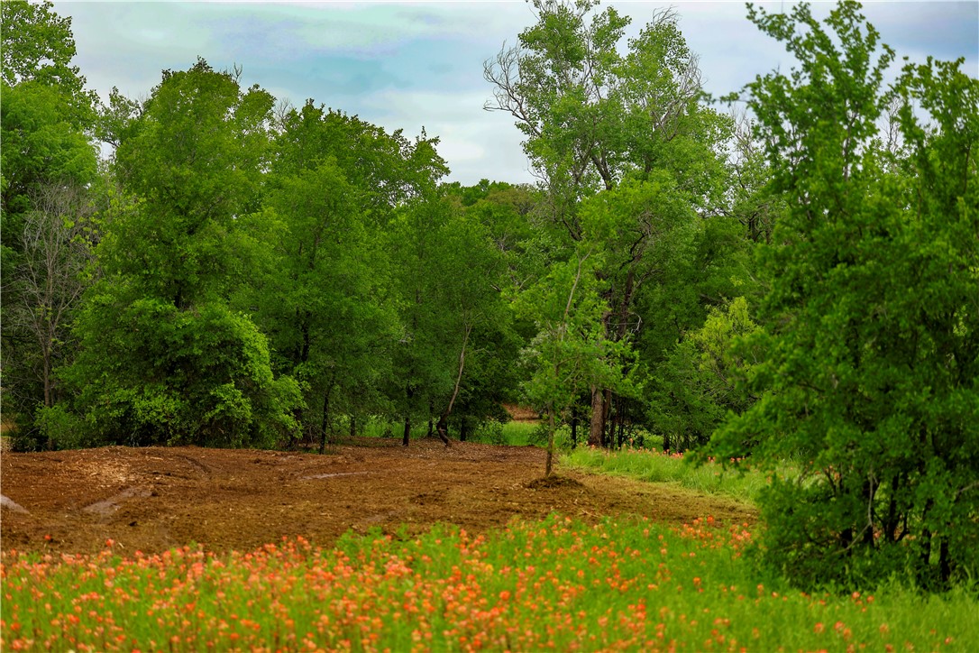 167 Canyon Ridge Drive, Waco, Texas image 1