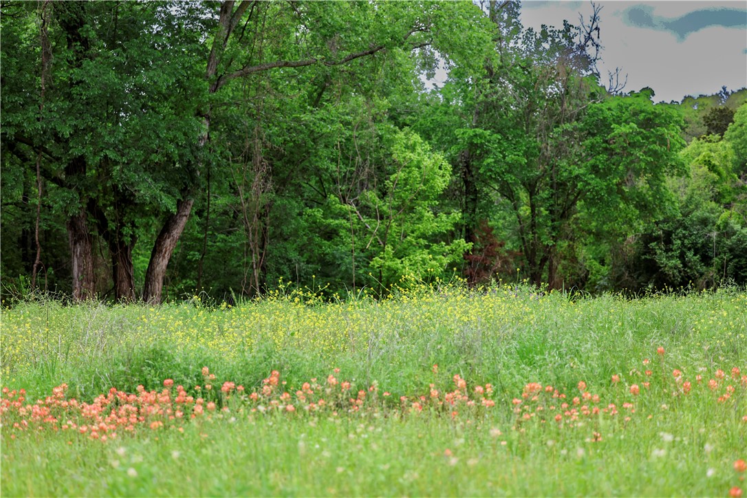 167 Canyon Ridge Drive, Waco, Texas image 3