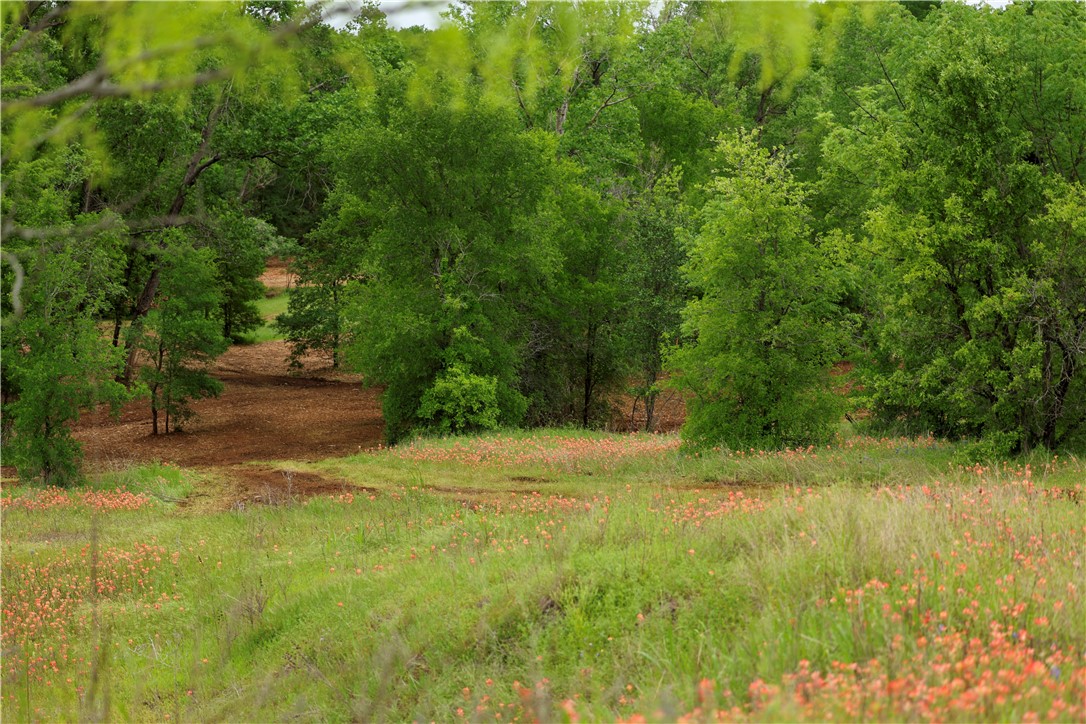 167 Canyon Ridge Drive, Waco, Texas image 9