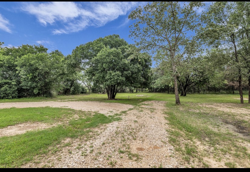 1172 Lincoln City Road, Elm Mott, Texas image 6