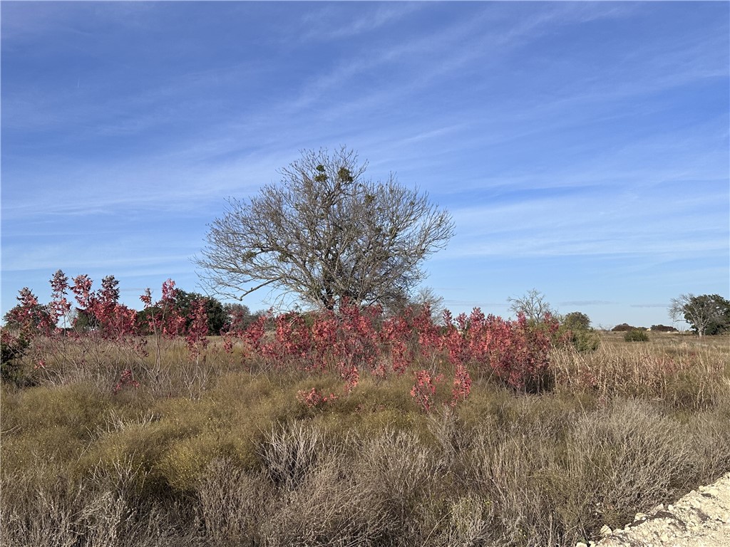 245 Grand Canyon Drive, Oglesby, Texas image 6