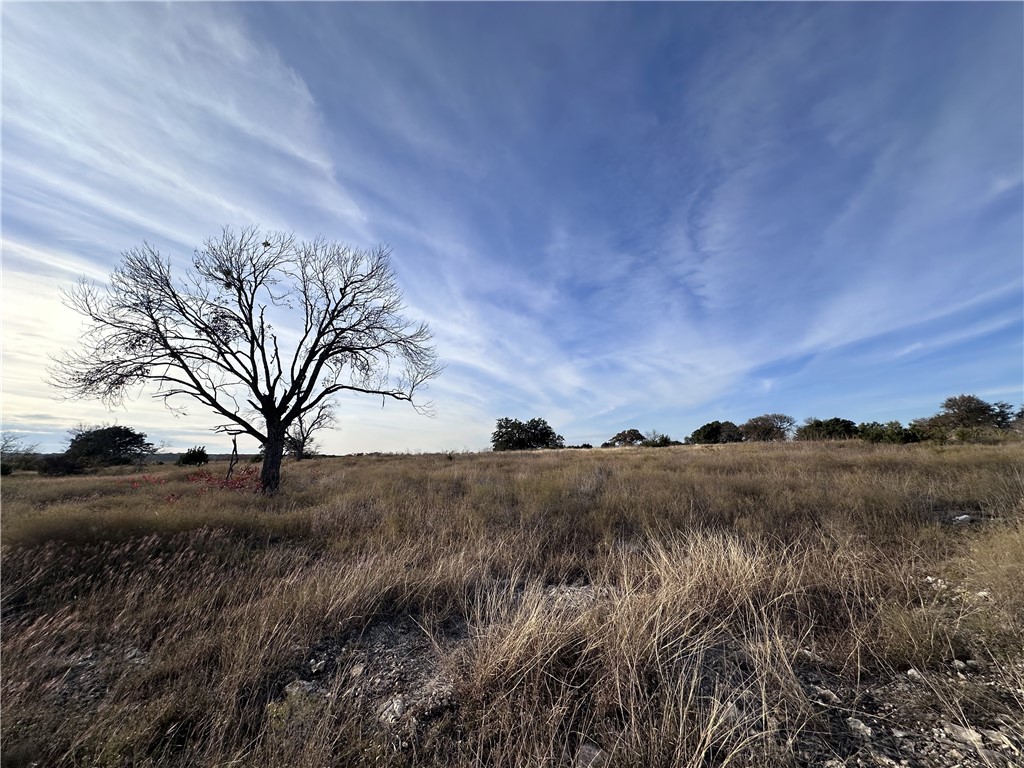 245 Grand Canyon Drive, Oglesby, Texas image 1