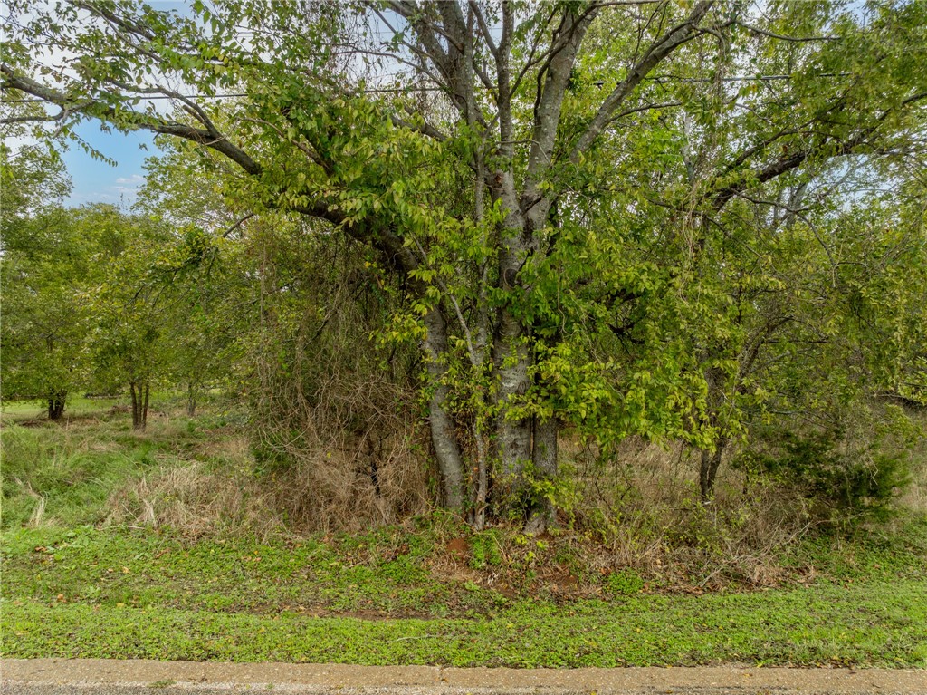 27070 Stonewood Drive, Whitney, Texas image 1