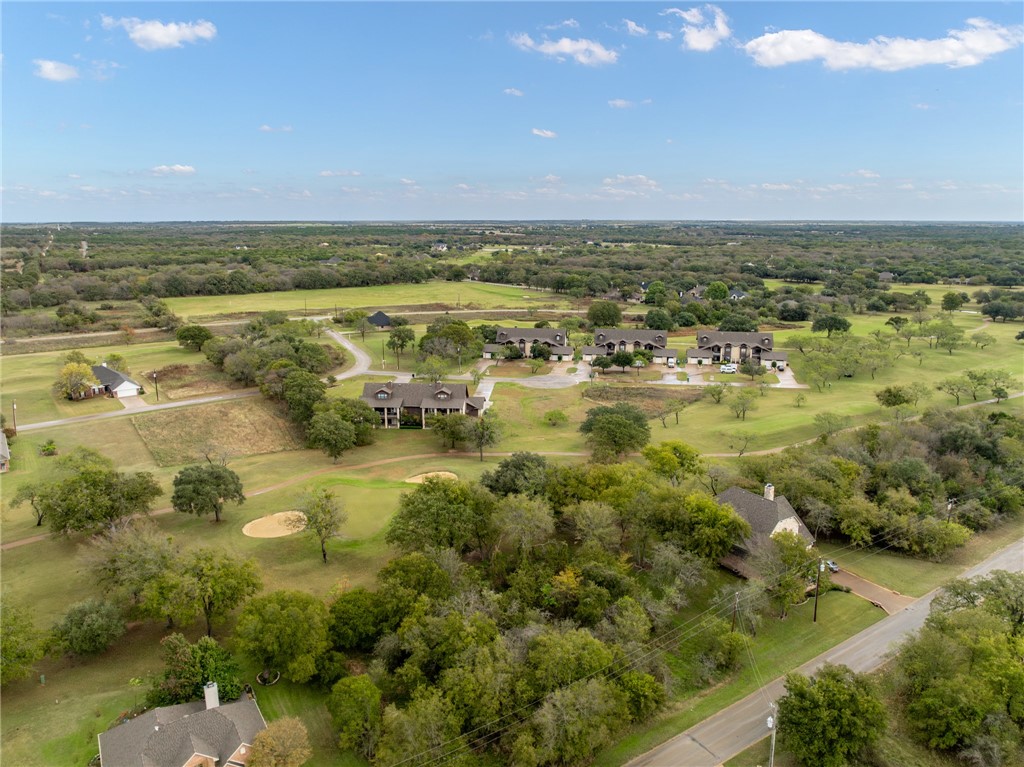 27070 Stonewood Drive, Whitney, Texas image 6