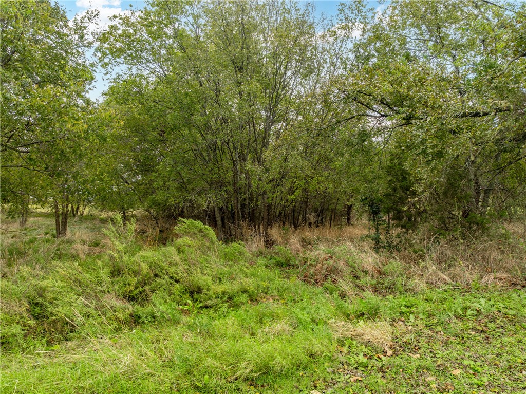 27070 Stonewood Drive, Whitney, Texas image 2