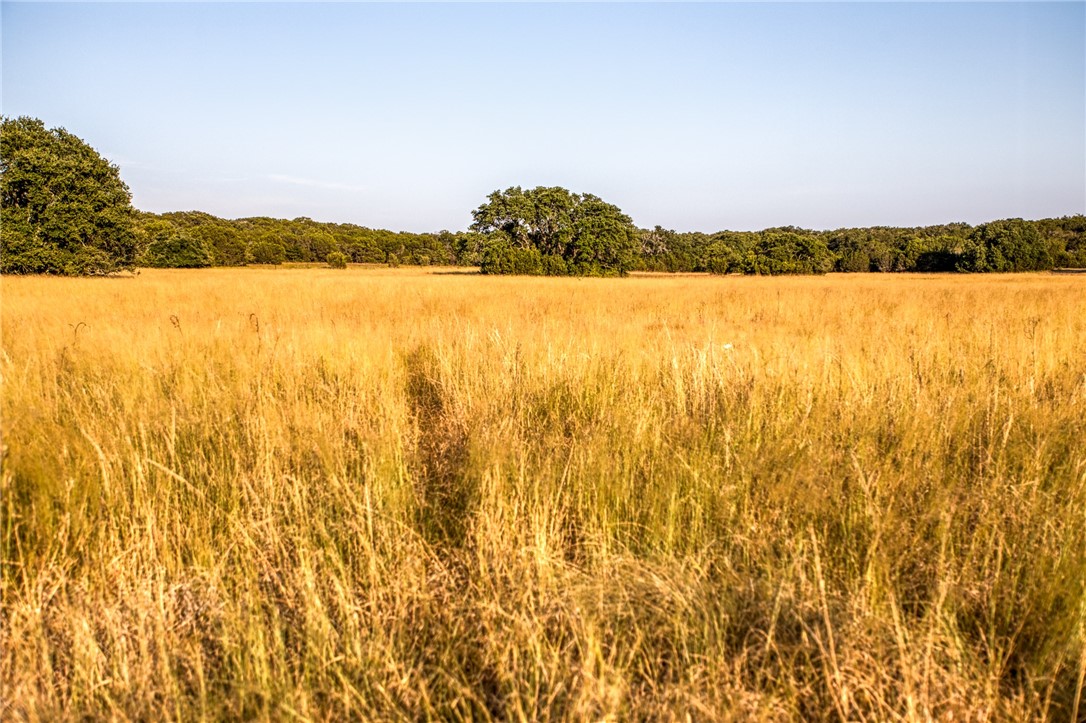 968 Fm 203, Walnut Springs, Texas image 17