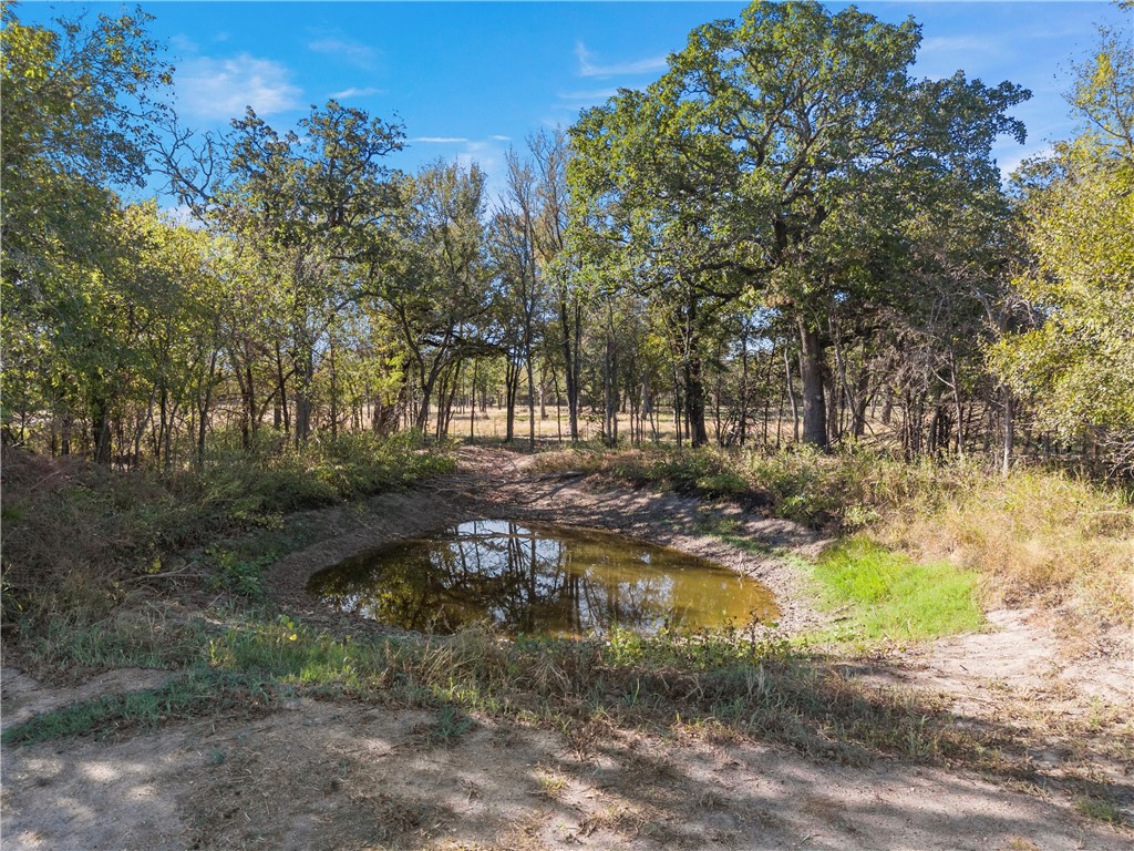 472 Wiggins Road, West, Texas image 15