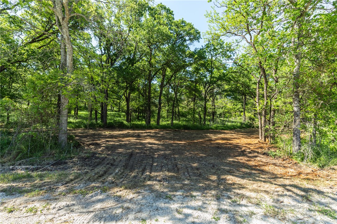 TBD Hcr 2305, Abbott, Texas image 15