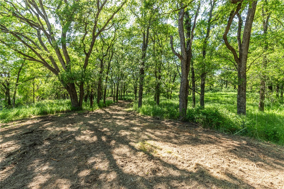 TBD Hcr 2305, Abbott, Texas image 14