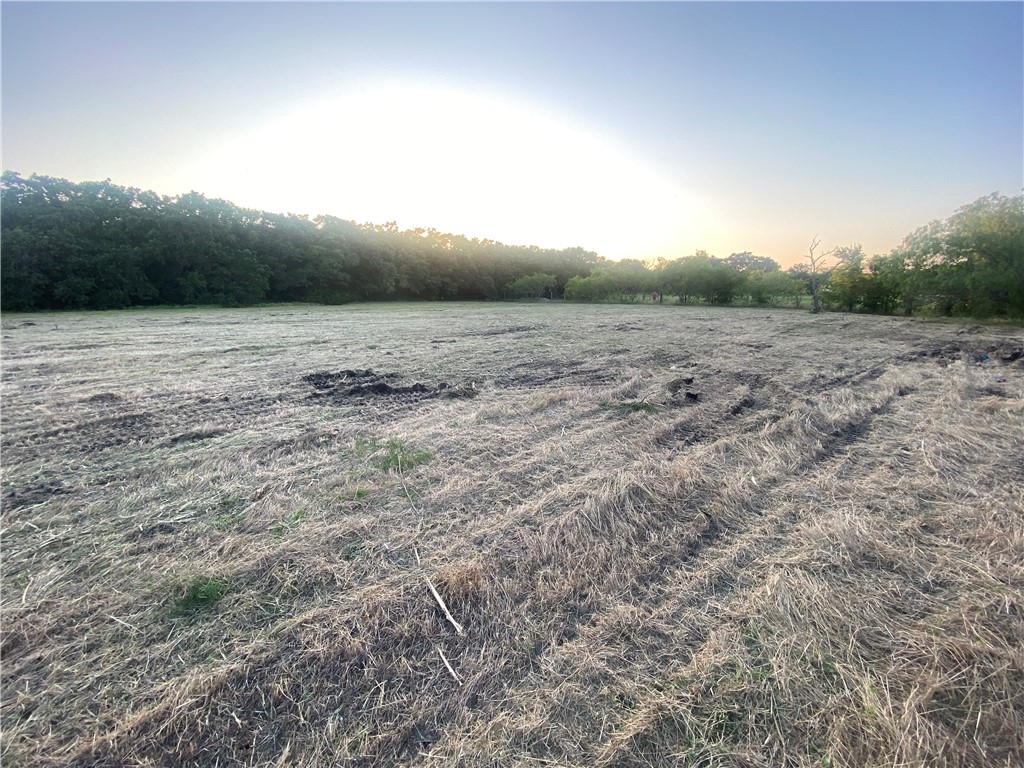 001 Beaver Road, Riesel, Texas image 4