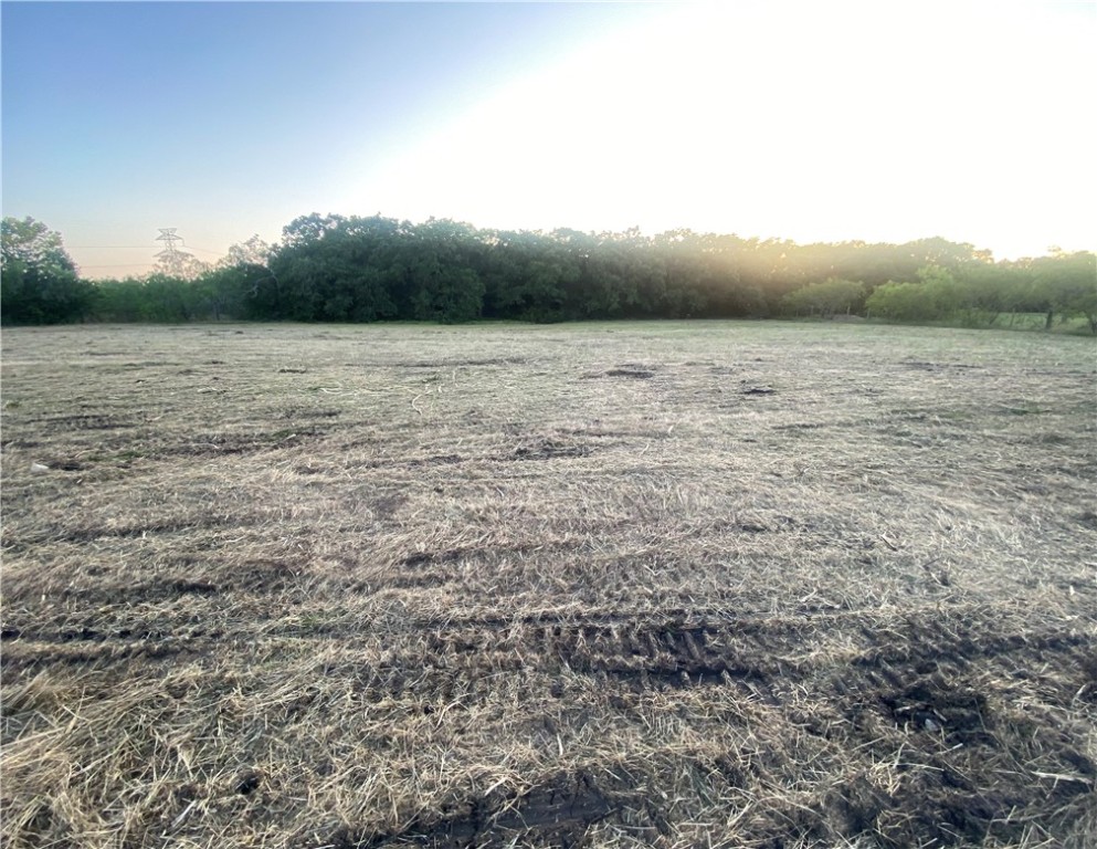 001 Beaver Road, Riesel, Texas image 7