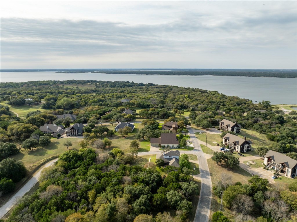 41073 Heartwood Circle, Whitney, Texas image 3