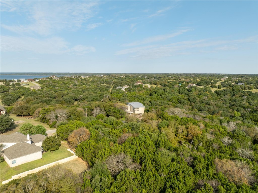 41073 Heartwood Circle, Whitney, Texas image 6