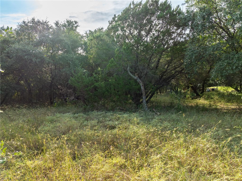 41073 Heartwood Circle, Whitney, Texas image 14