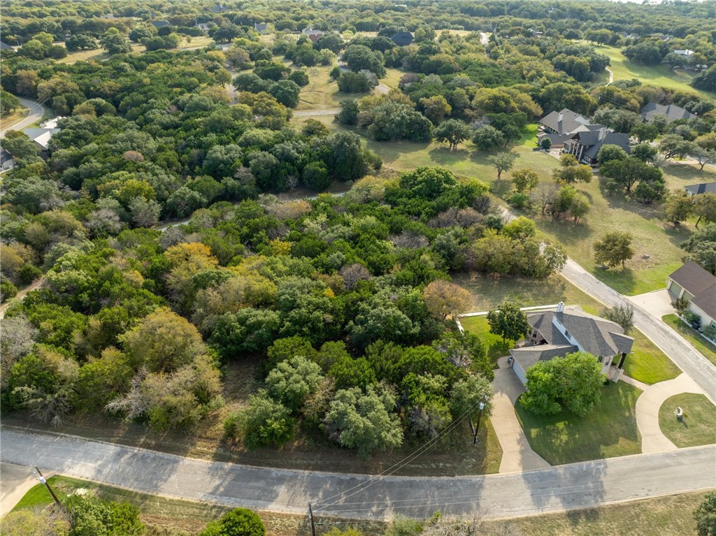 41073 Heartwood Circle, Whitney, Texas image 4